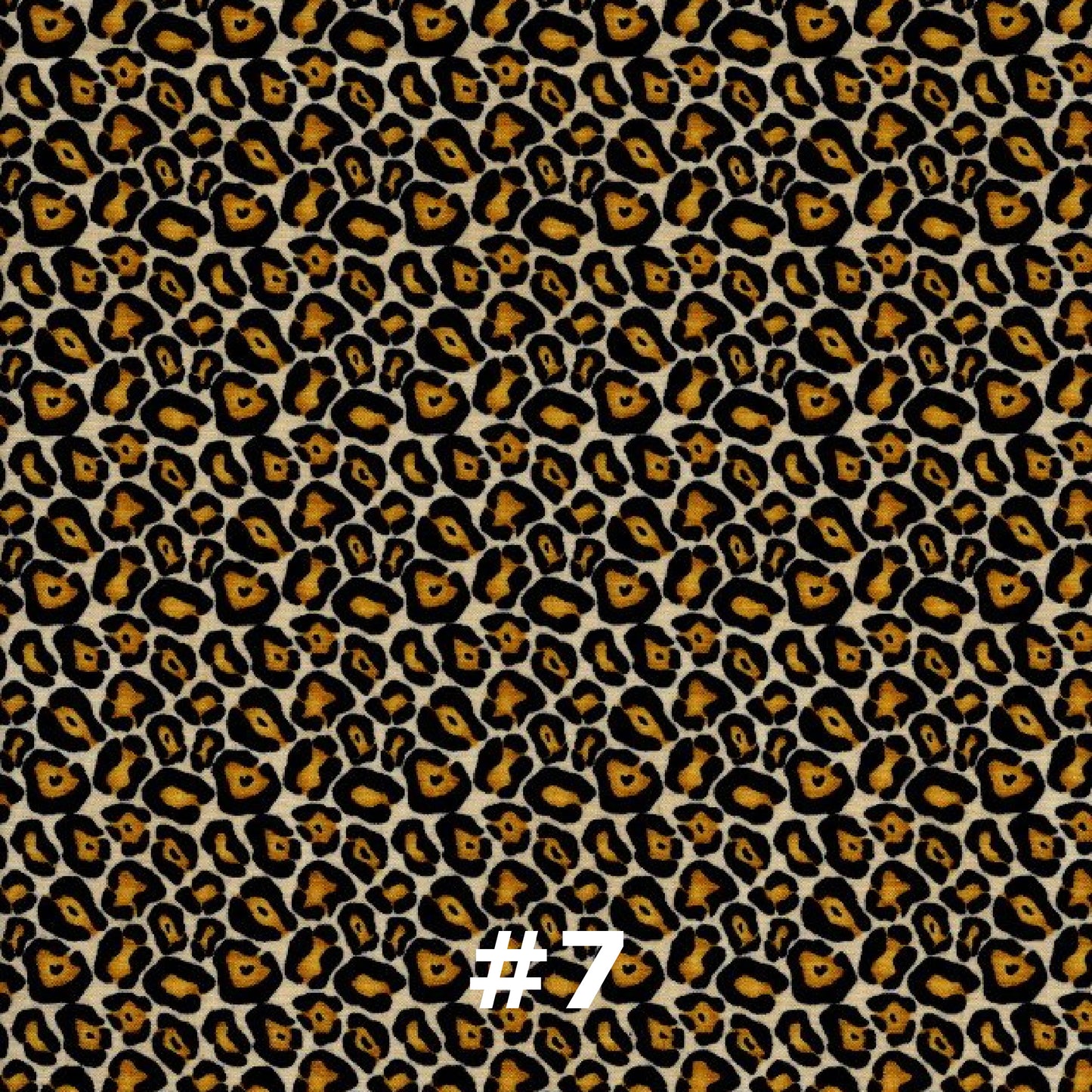 Fashionista - Nonna's Notions N' Sew On