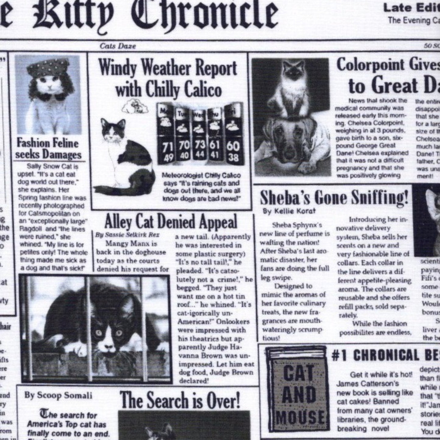 Gail - Nonna's Notions N' Sew On